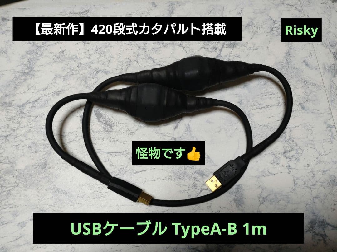 【最新作】オーディオ用　420段式カタパルト搭載　USBケーブル A-B 1m