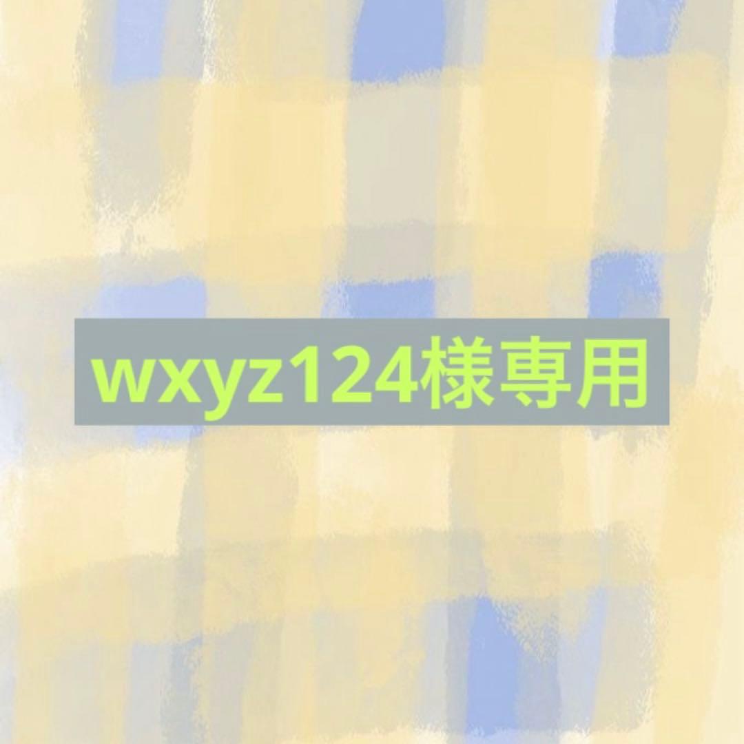 wxyz124　2点セット