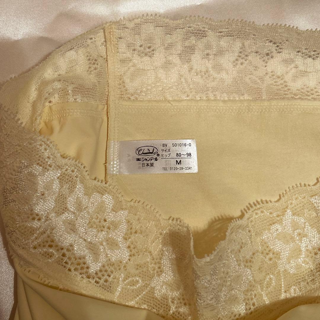補正下着　シャンデール エレガント　ブラジャー&ショーツセットE70 ショーツM