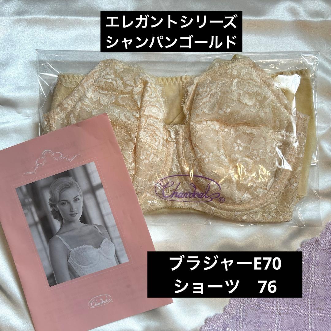 補正下着　シャンデール エレガント　ブラジャー&ショーツセットE70 ショーツM