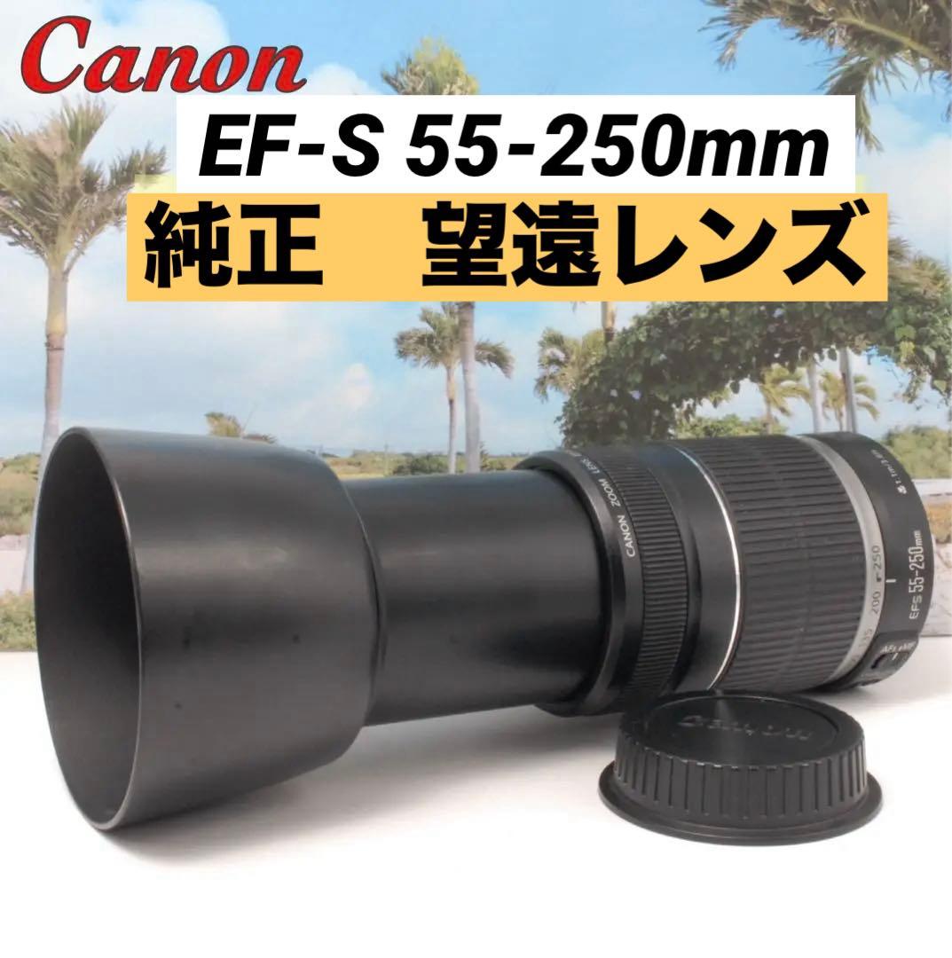 ✨レンズフード付✨Canon 純正 EF-S 55-250mm 望遠レンズ