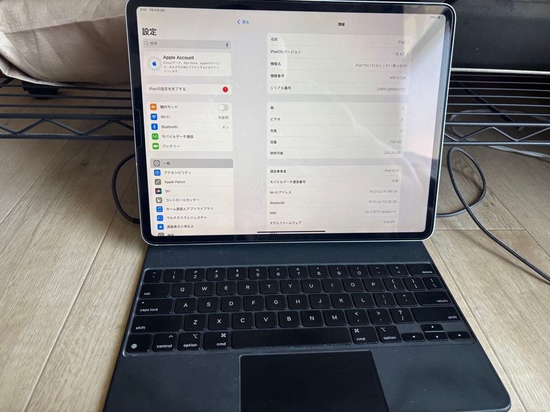 iPad Pro 第四世代　256GB セルラーモデル　純正パッド付き