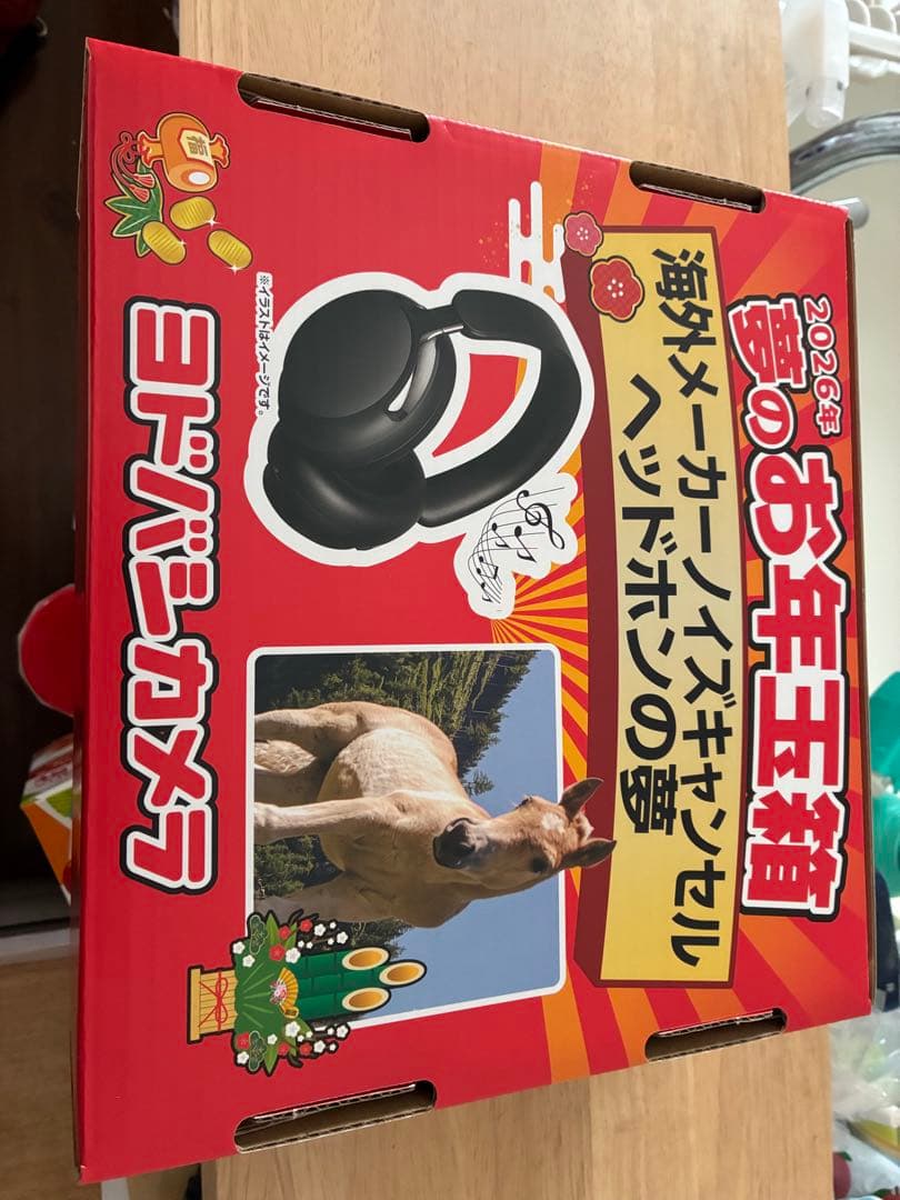 【送料込み】2026年　夢のお年玉箱　海外メーカーノイズキャンセルヘッドホンの夢