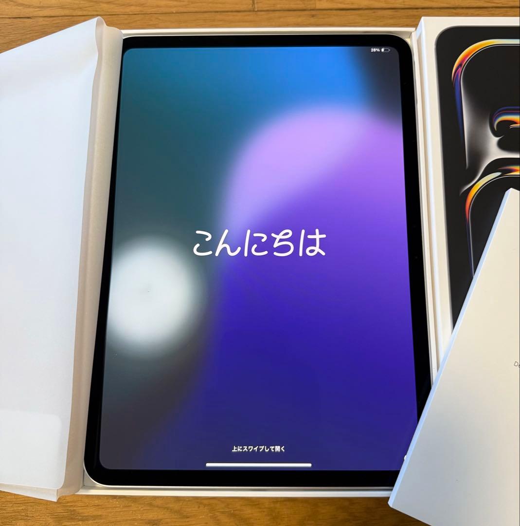 Apple iPad Pro (11インチ) 256GB M4 使用1ヶ月未満