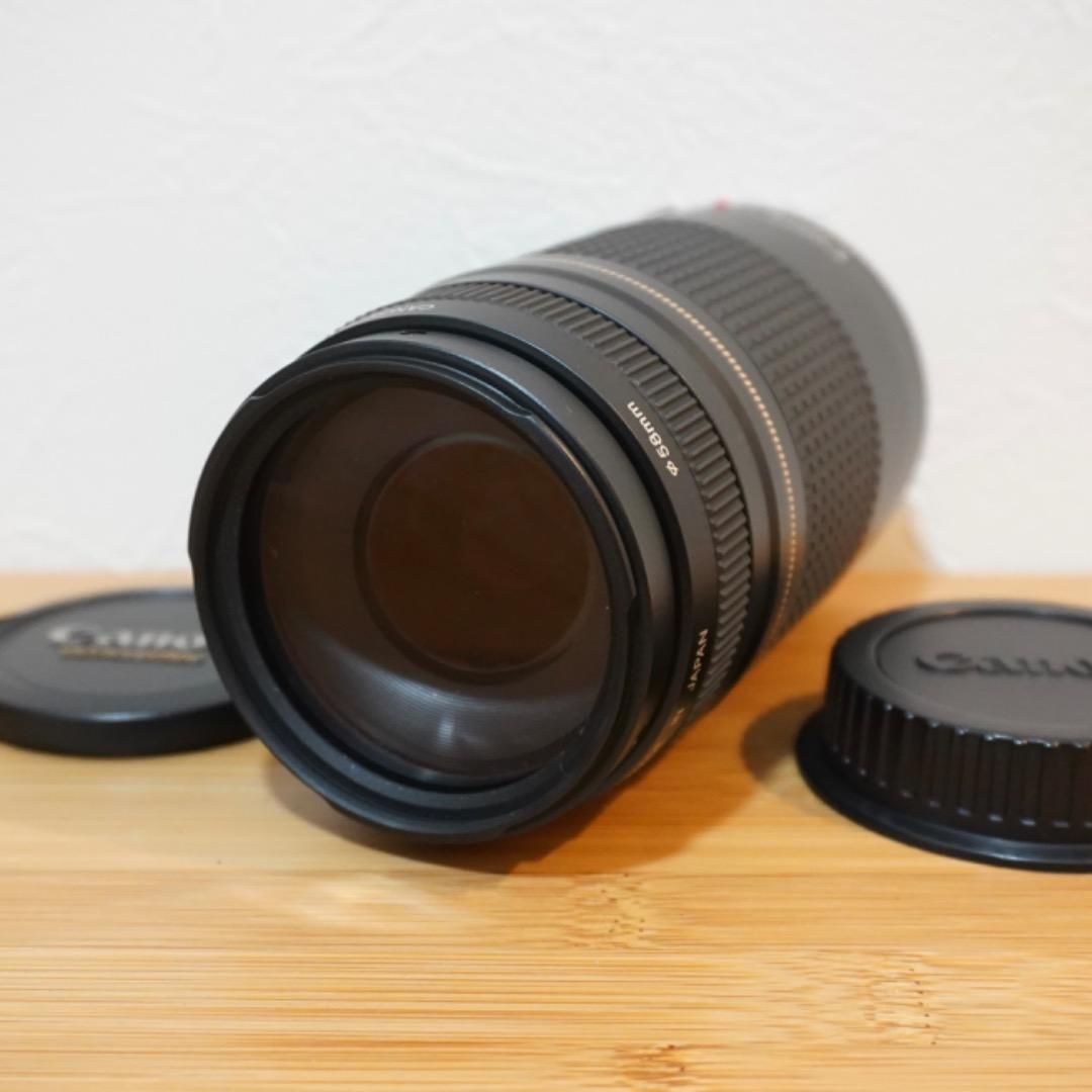 キヤノン EF 75-300mm f/4-5.6 II USM 望遠