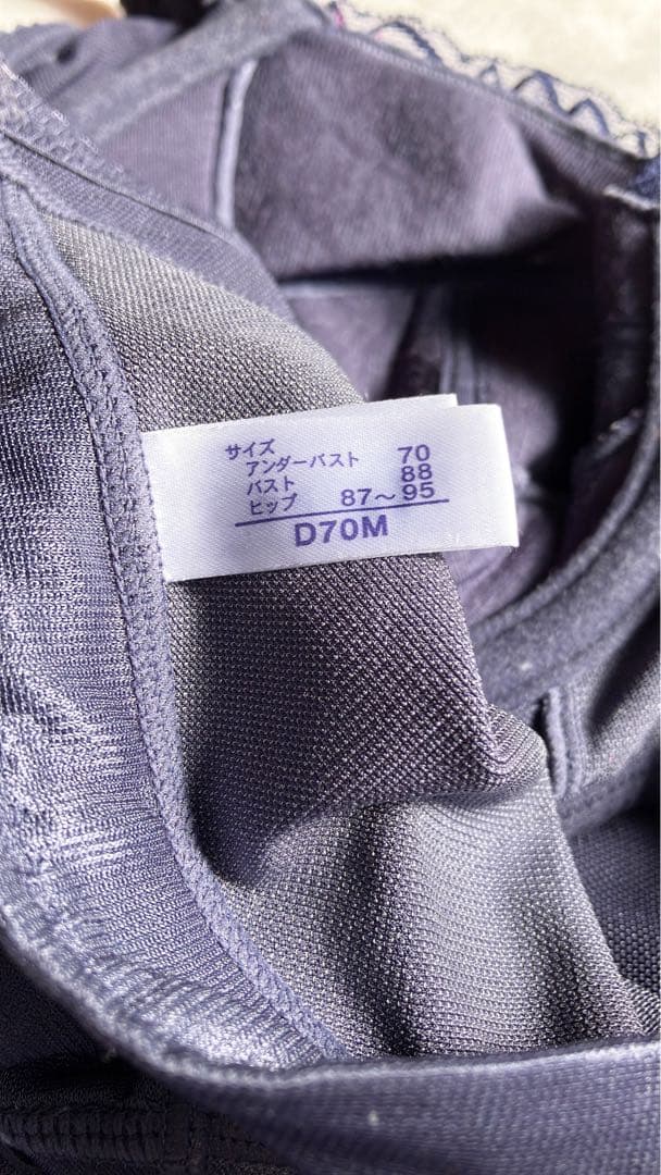 カーヴィシャス　フルカップボディスーツ D70M