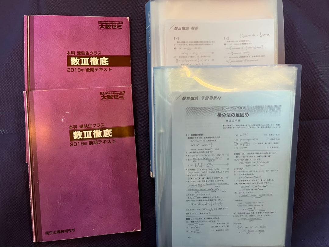 大数ゼミ 数Ⅲ徹底