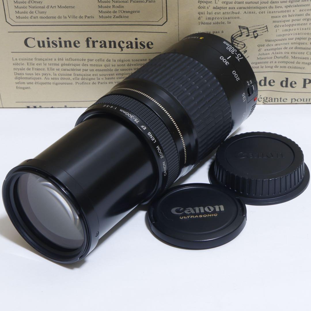◇超望遠&高速AF◇Canon純正 75-300mm I型 超望遠レンズ!!◇