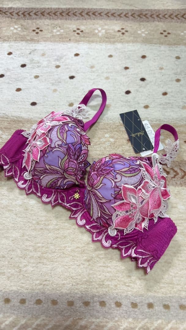 ワコール サルート予約限定40G ブラD75 VI タグ付き