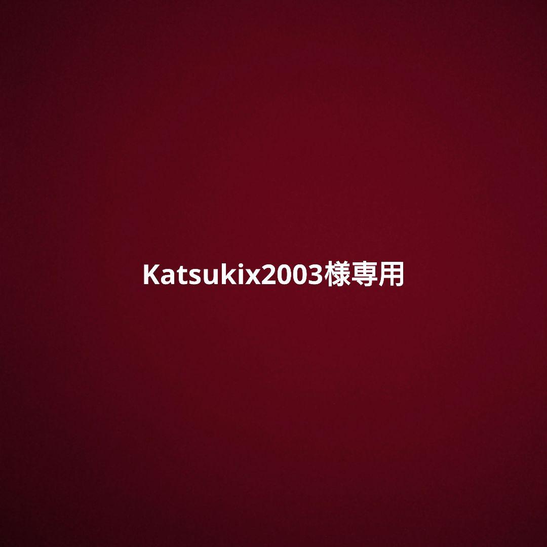 BIKE PORTER PRO 自転車組立型ハードケース 付属品あり