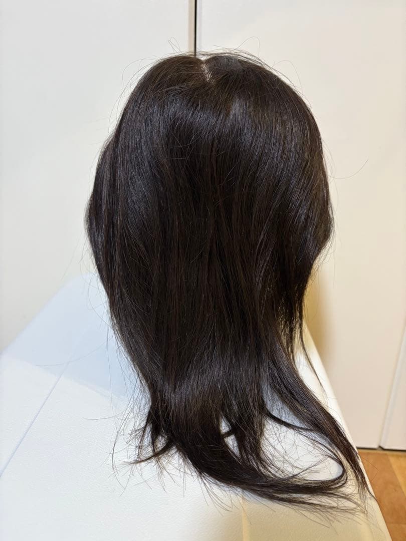 REGINA カットウィッグ2体セット　人毛100% 美容師カット練習用