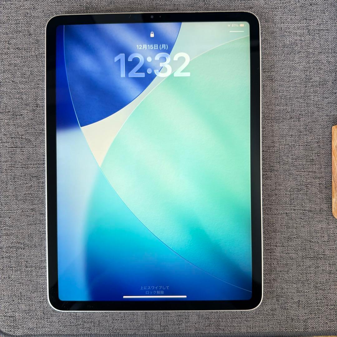 iPadPro 第1世代 512G