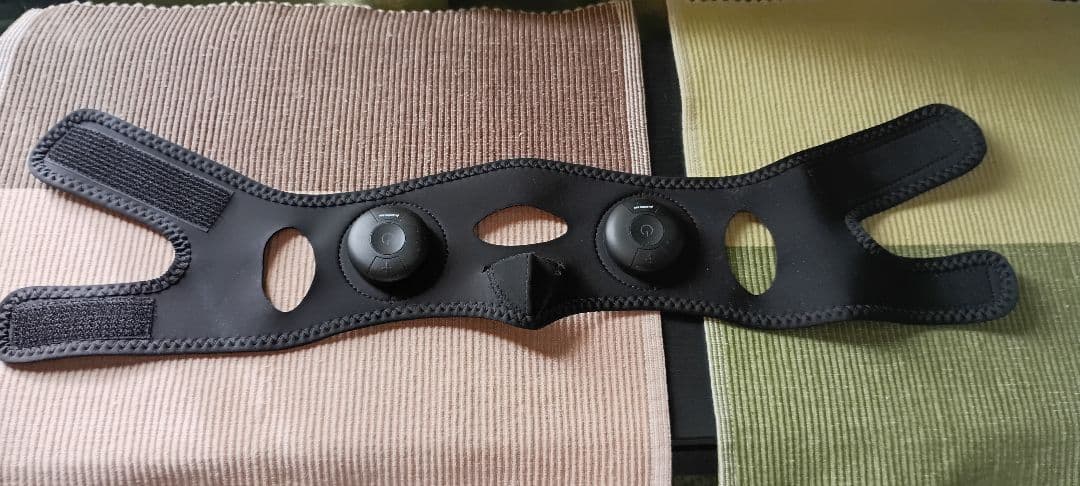 PLEASINGSAN プリージングサン 充電式 美顔器 顔 ems