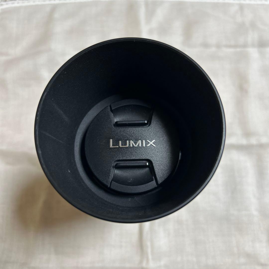 LUMIX G VARIO 45-200mm 望遠レンズ H-FS045200