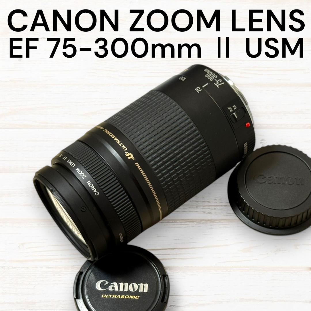 Canon ズームレンズ EF 75-300mm II USM