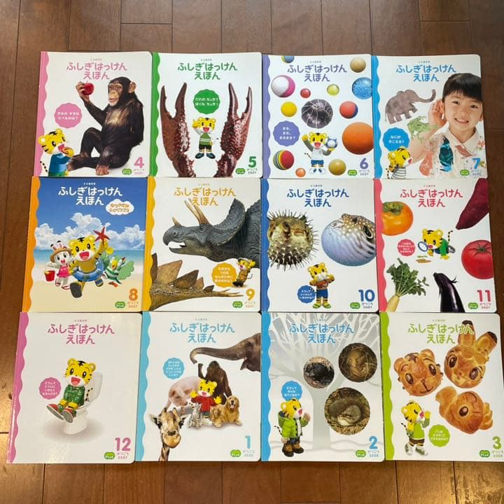 こどもちゃれんじすてっぷ　1年分　キッズワーク付き