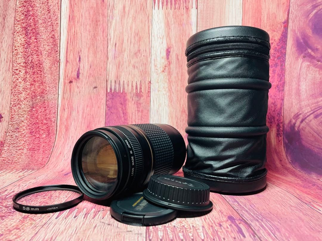 Canon キャノン EF 75-300mm 1:4-5.6 Ⅱ