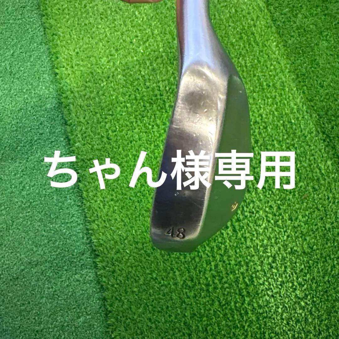 EPON type M ウェッジ 48度