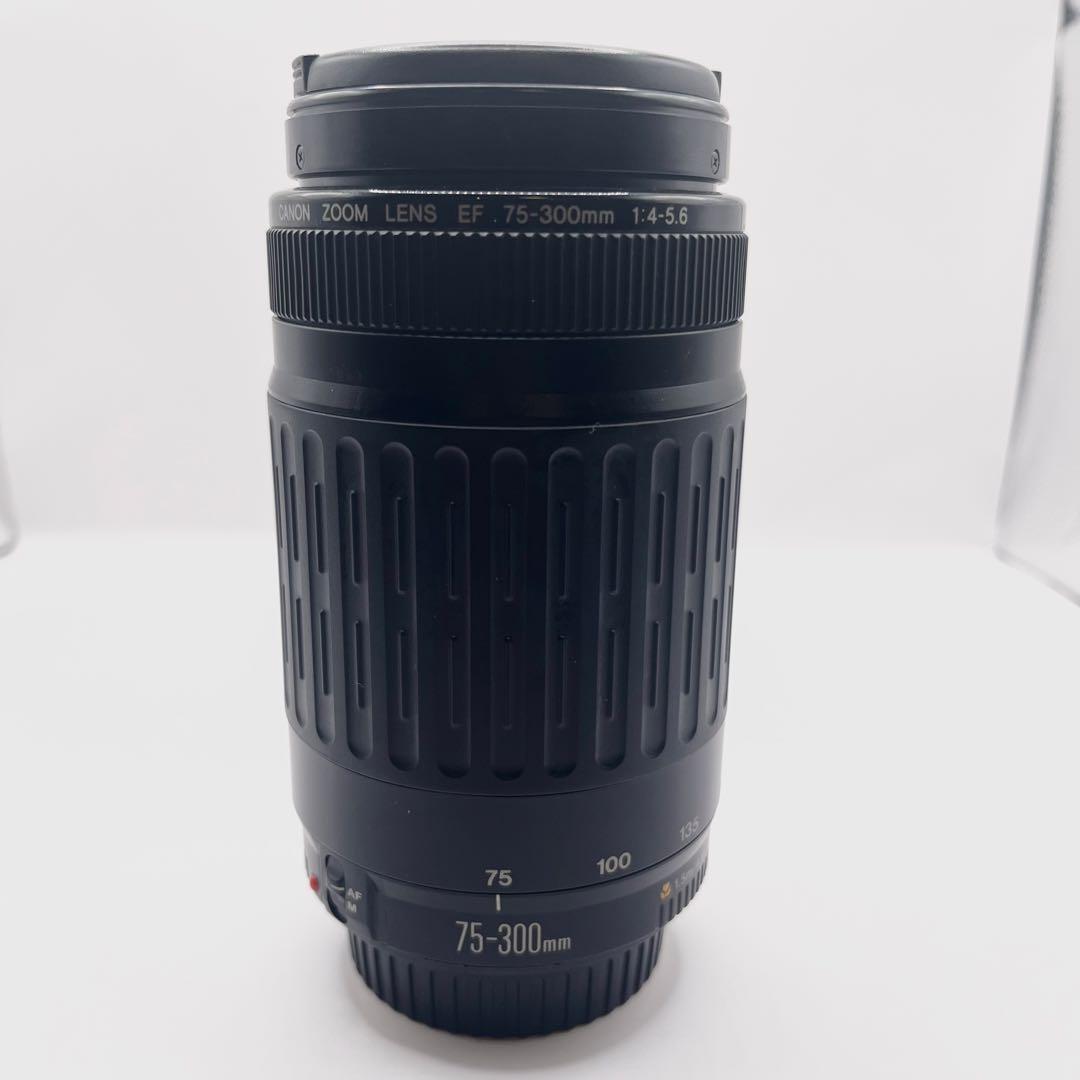 【美品】超望遠レンズ CANON EF 75-300mm F1:4-5.6