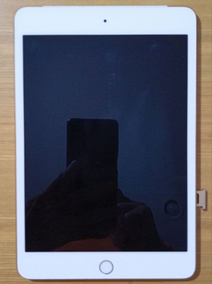 Apple iPad mini4 ゴールド 本体 箱あり