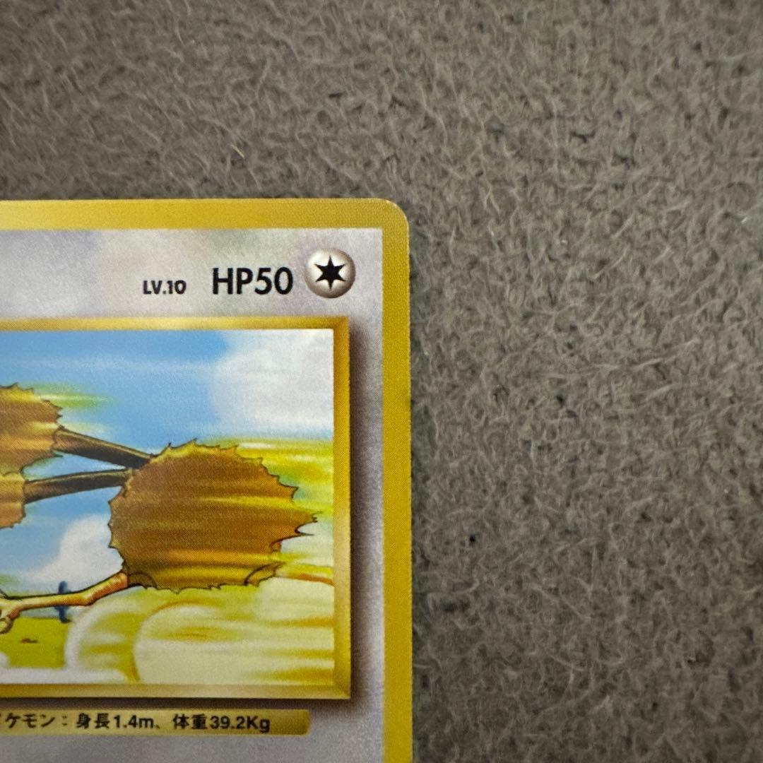 ポケモンカード 旧裏 初版 ドードー No.054