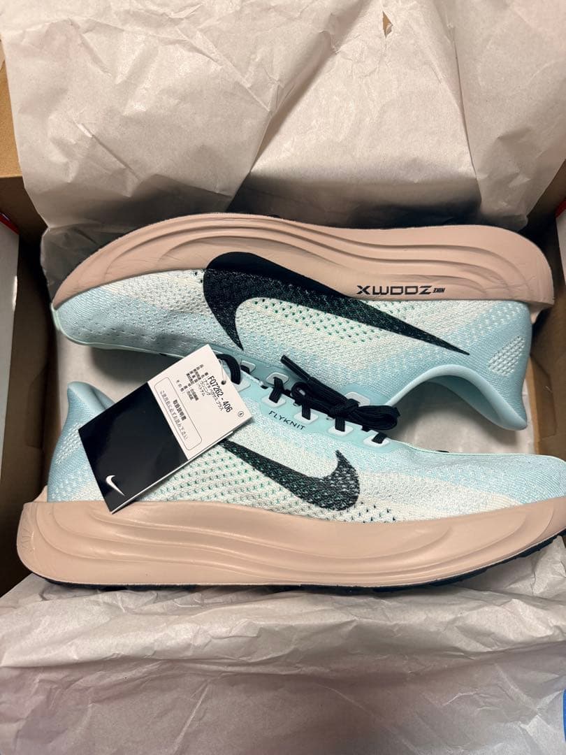 ナイキ ペガサス プラス　29.0