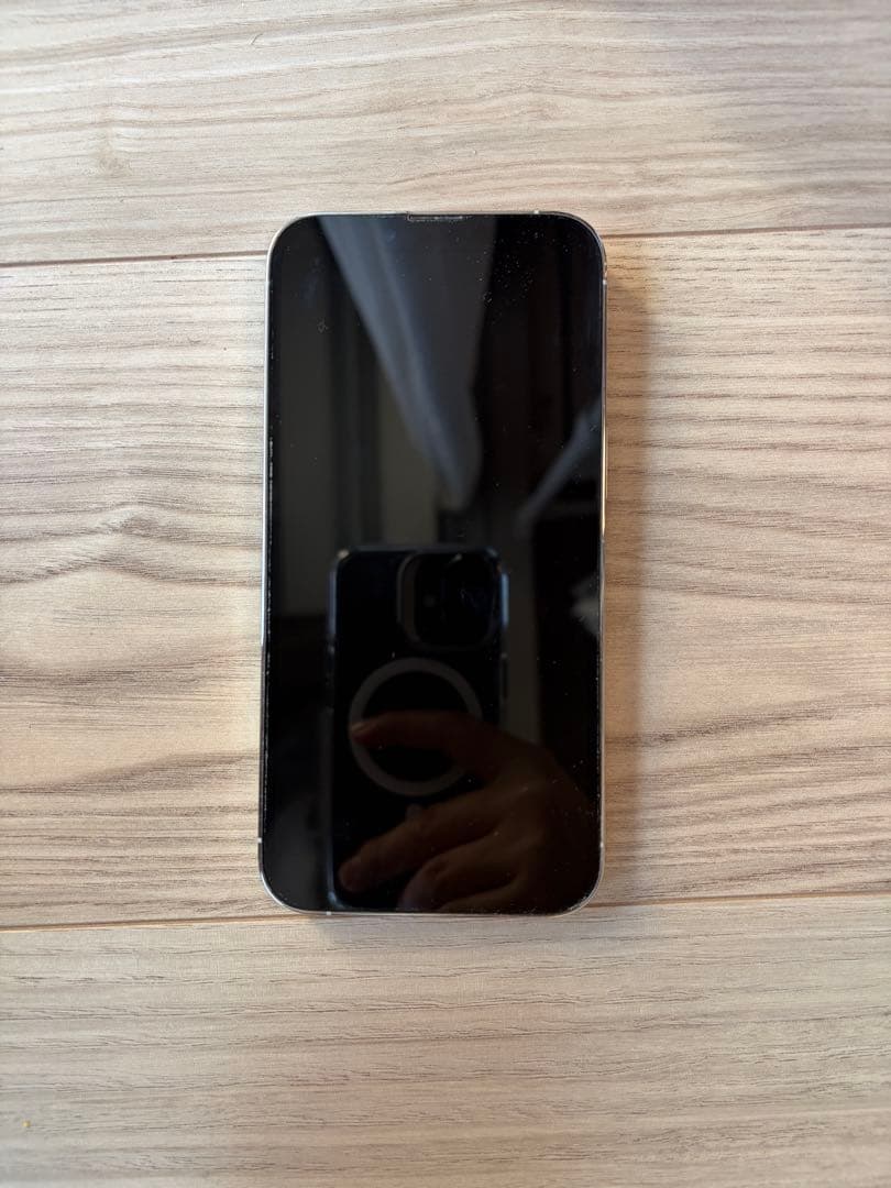 Apple iPhone 13 Pro シルバー　512GB 79%
