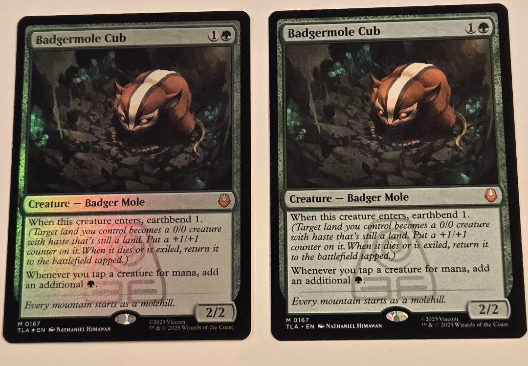 mtg アナグマモグラの仔　Badgermole Cub　２枚セット
