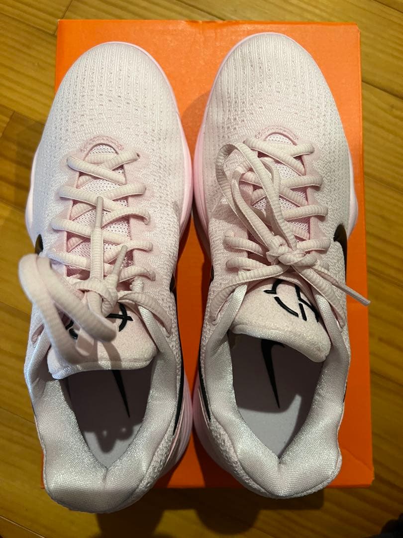 お*む様 Nike ハイパーダンク2017 26cm