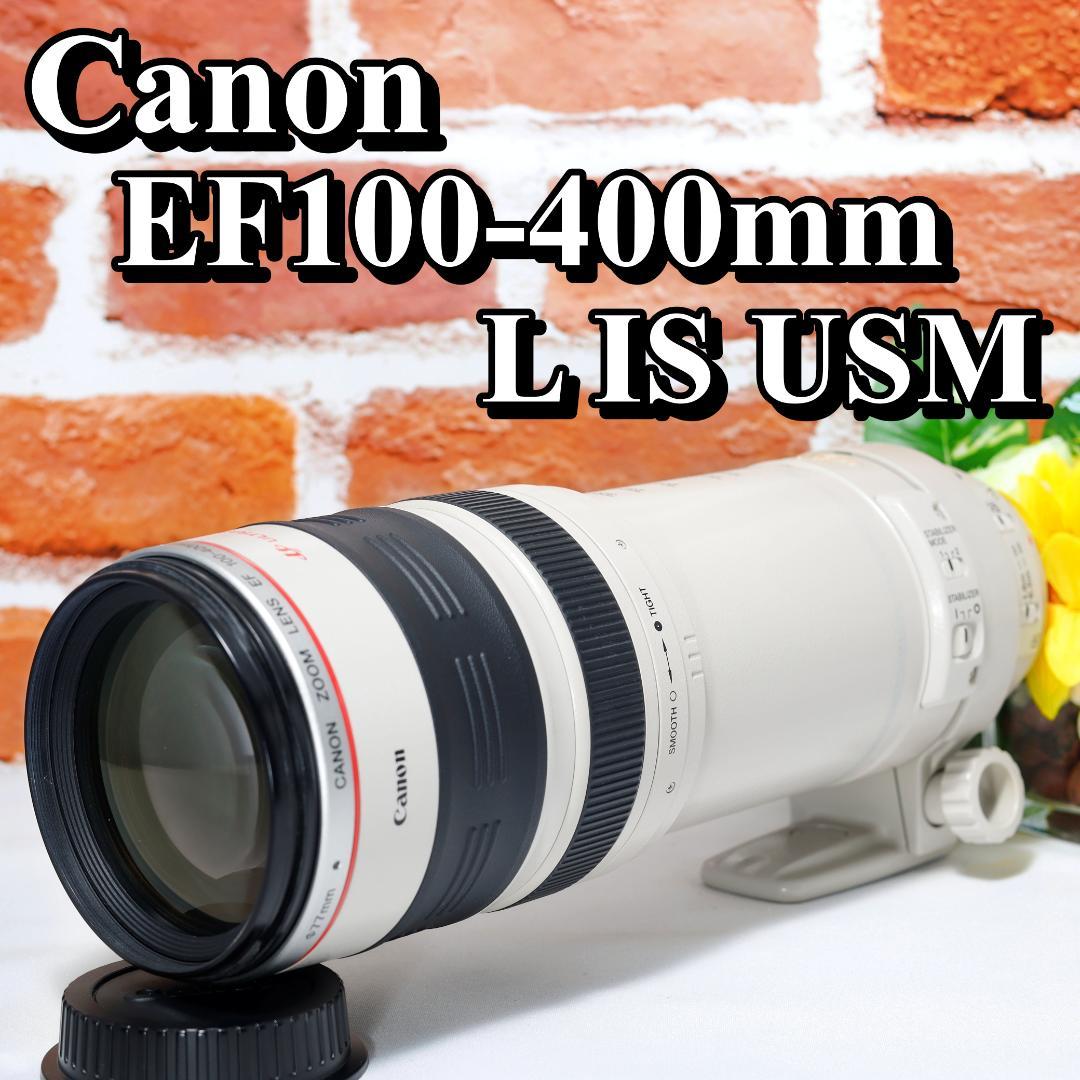 超望遠 Canon EF 100-400mm F4.5-5.6 L IS USM