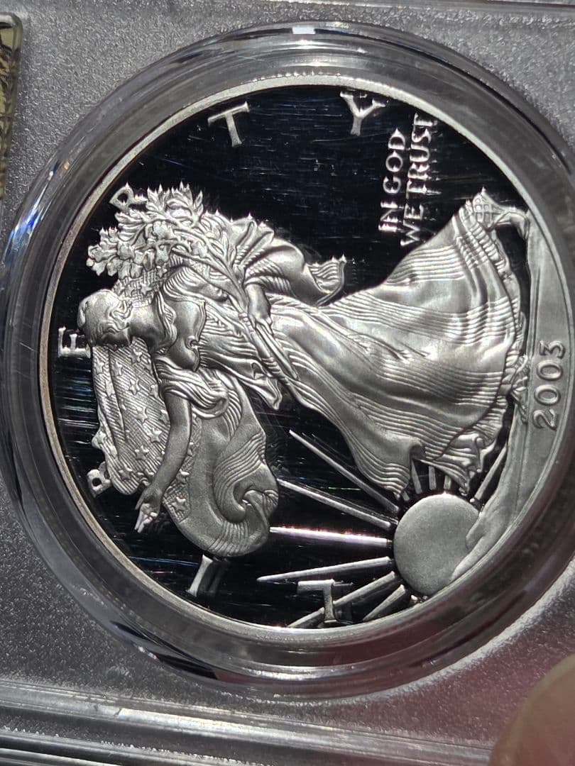 (PR69 DCAM)アメリカ合衆国　シルバー イーグル銀貨　2003 W