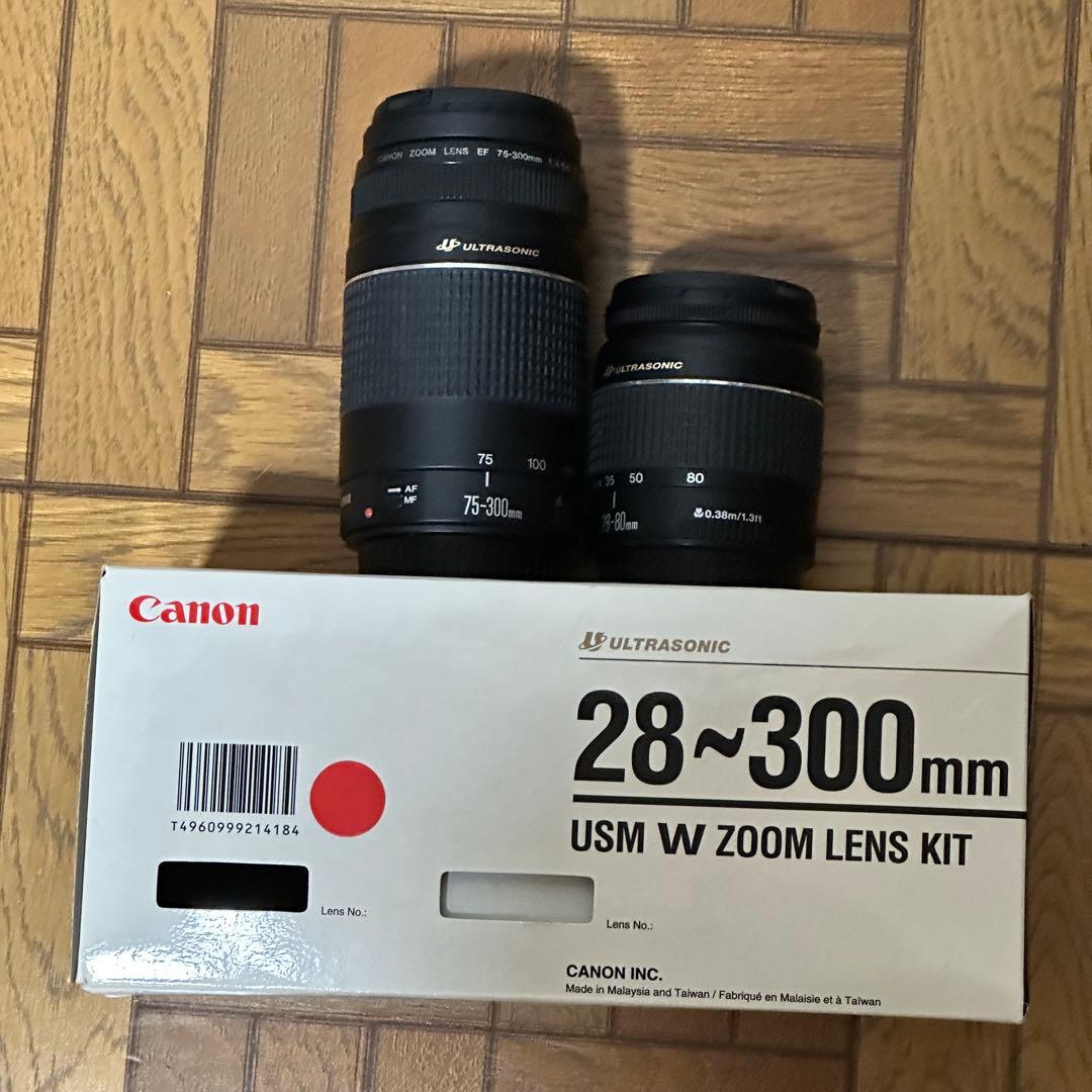 レンズ(ズーム) Canon 28-300mm USM W ZOOM LENS KIT