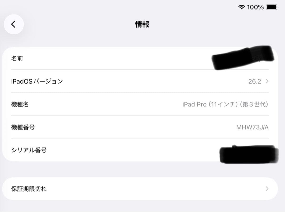 Apple iPad Pro (11インチ) 第3世代 不具合あり