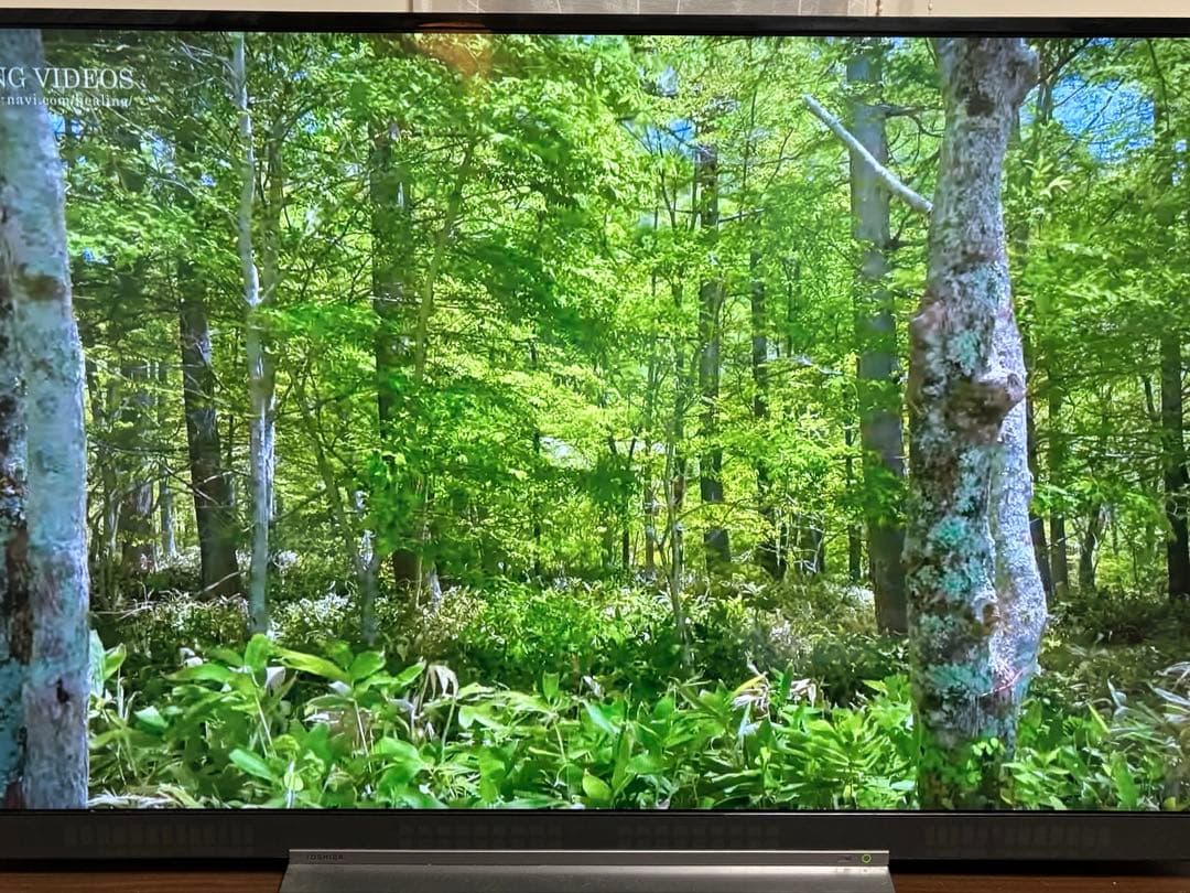KB レグザ55型 テレビ