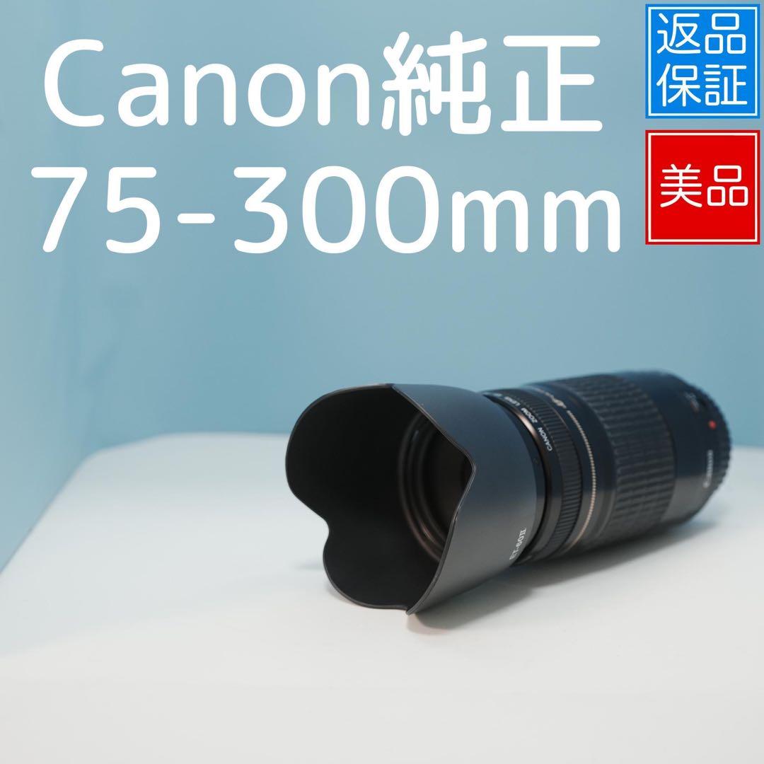Canon純正 75-300mm 望遠レンズ 美品 a4331