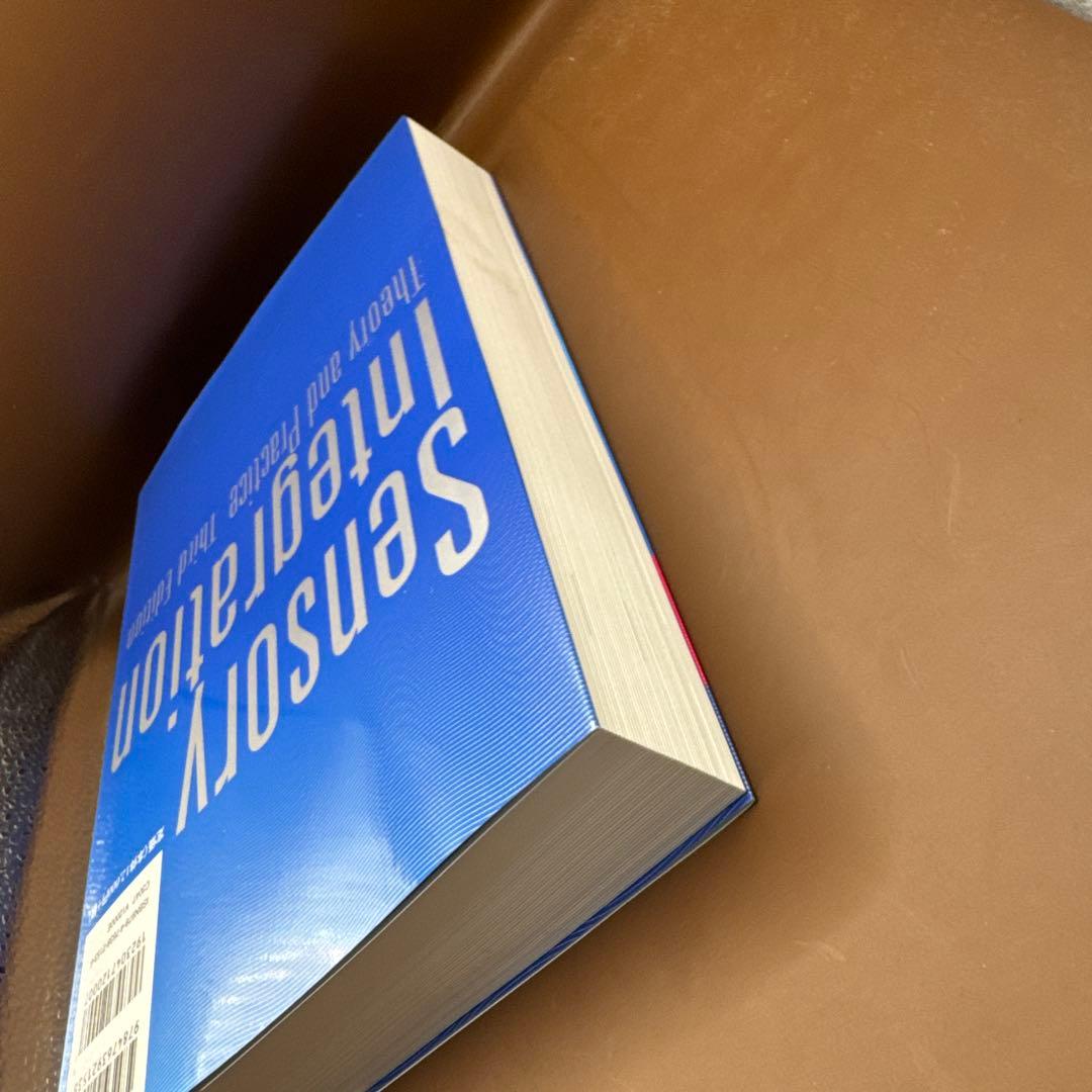 感覚統合とその実践 第3版