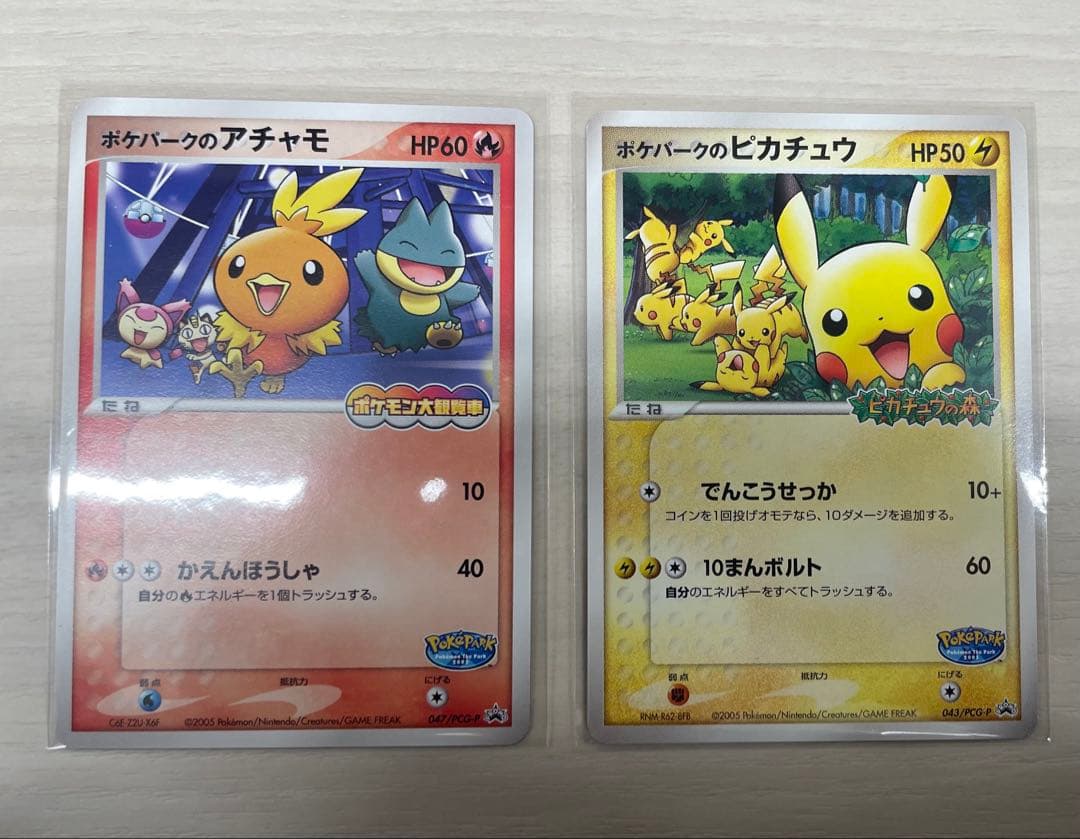 ポケパークのピカチュウ　ポケパークのアチャモ