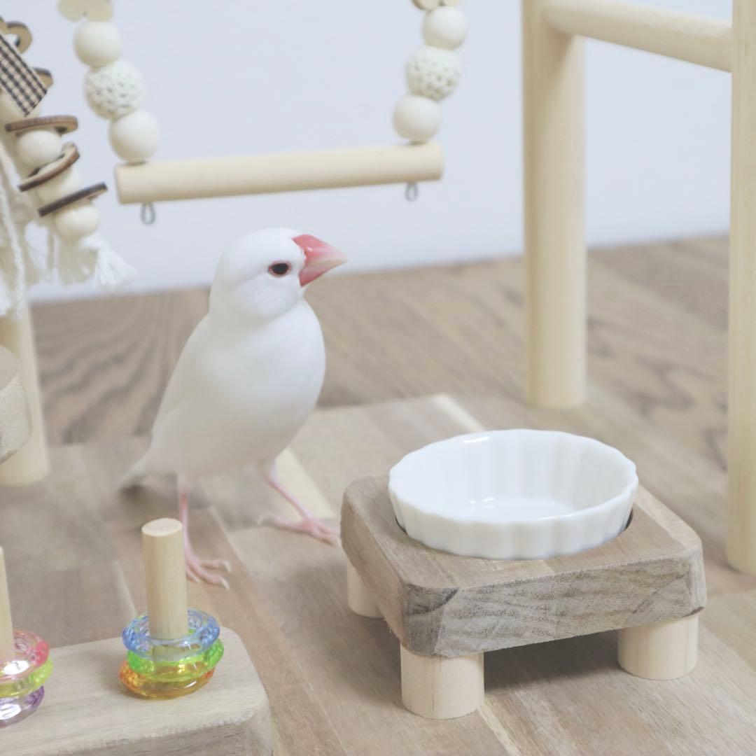 ことりのあそびば　ミラー付き　文鳥　インコ　バードアスレチック　ブランコ