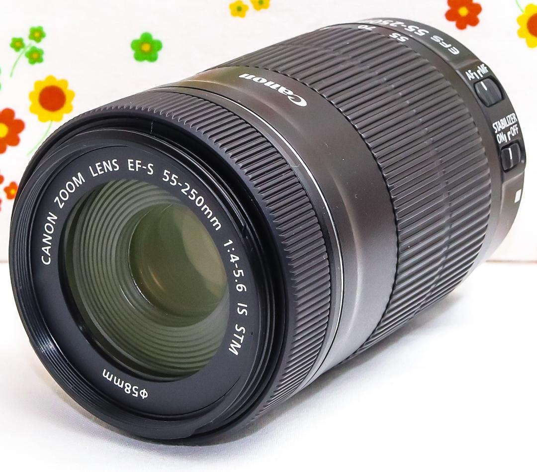 美品☆Canon EF-S 55-250mm IS STM☆超静音望遠レンズ