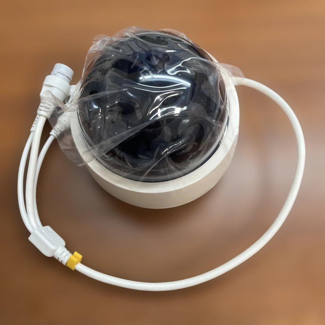 塚本無線 WTW−PDRP219E IPカメラ 高解像度ドーム型防犯カメラ