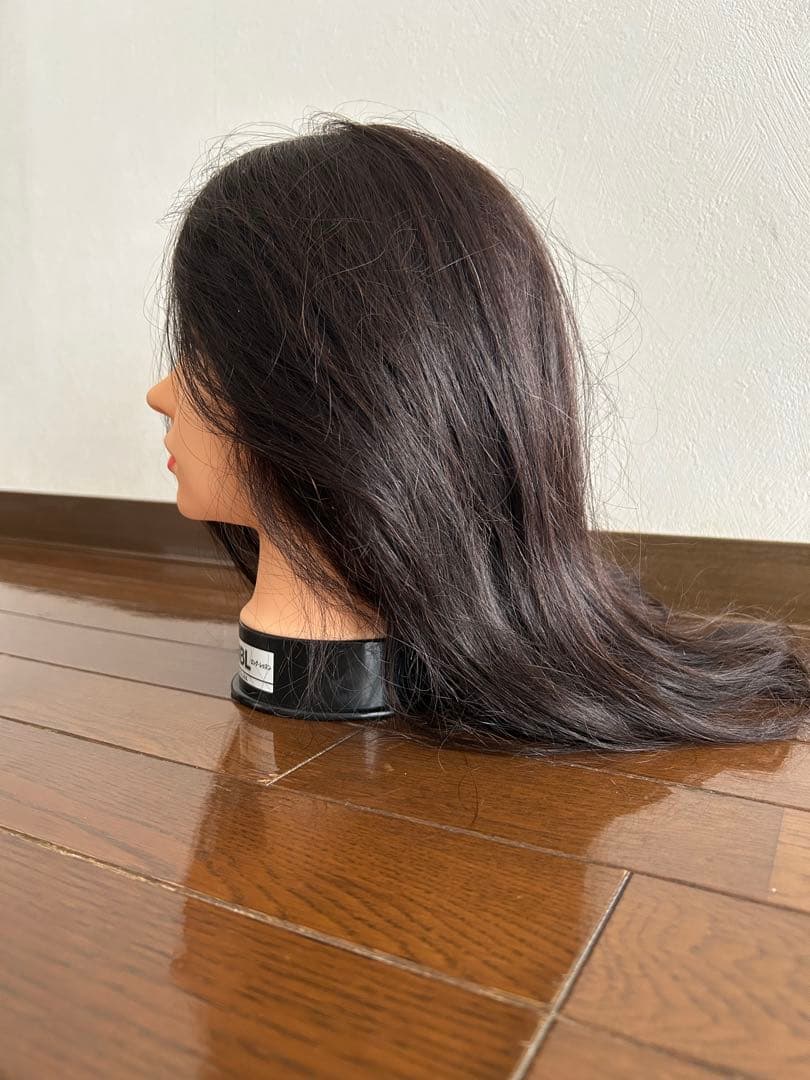 rururun レジーナ EX-7 NBL カット用ウィッグ 2体セット