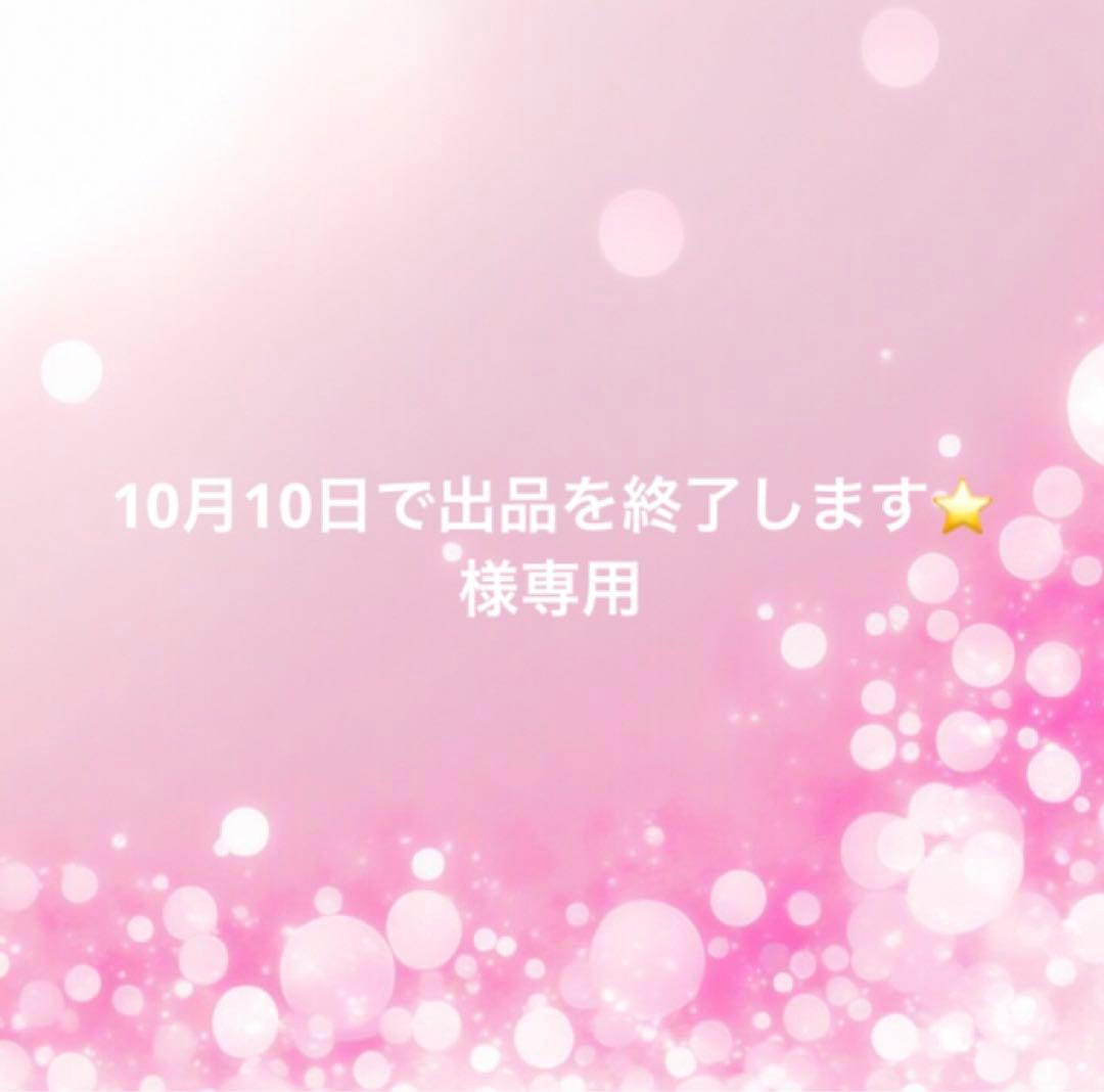10月10日で出品を終了します⭐️