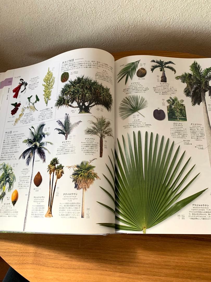 地球博物学大図鑑 東京書籍