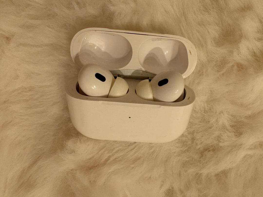 AirPodsPro 第2世代/Type-C