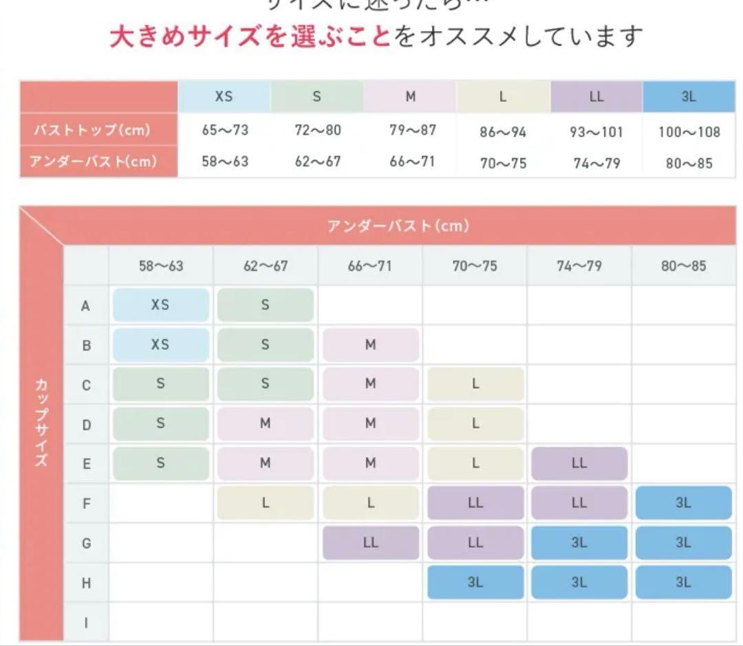 PG-Bra ブラック Lサイズ 育乳ブラ　2セット