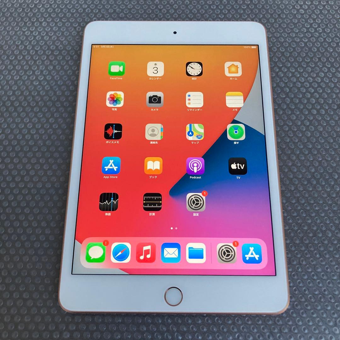 2581 電池最良好☆iPad mini5 第5世代 64GB WIFIモデル☆
