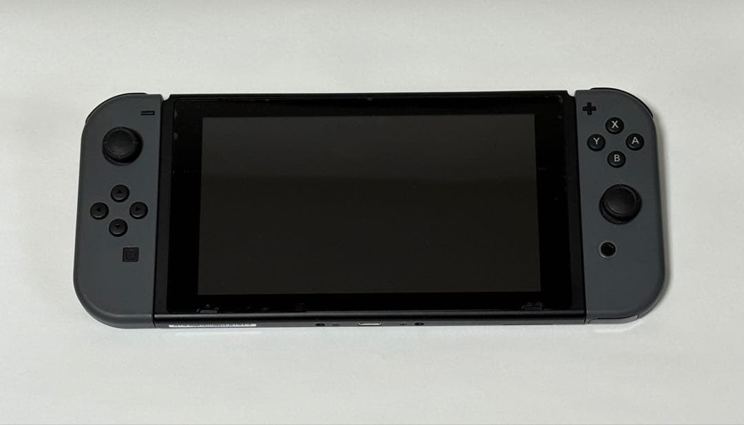 Nintendo Switch 本体（ジョイコン グレー） キャリングケース付き