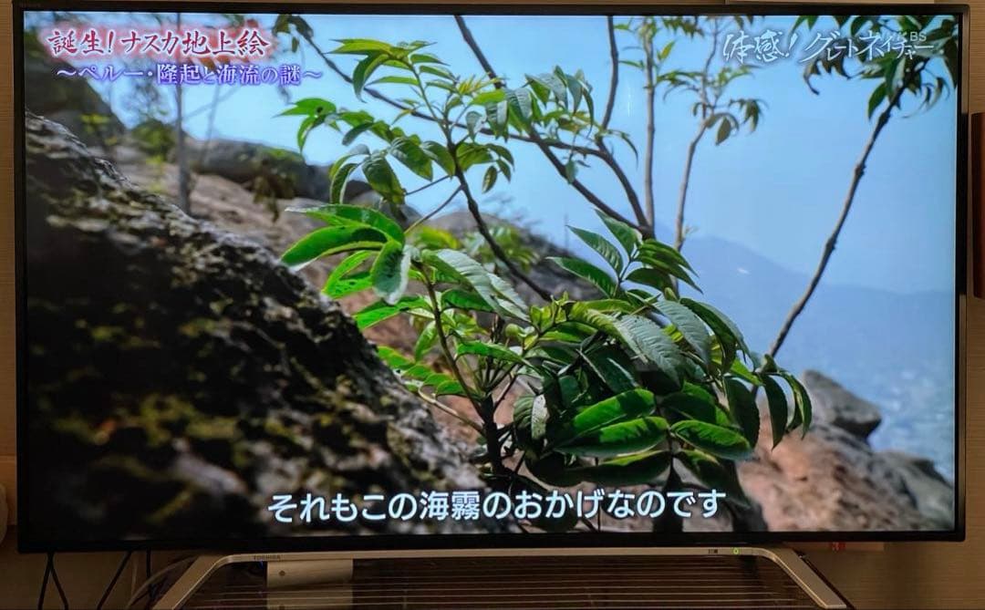 テレビ REGZA 55Z700X