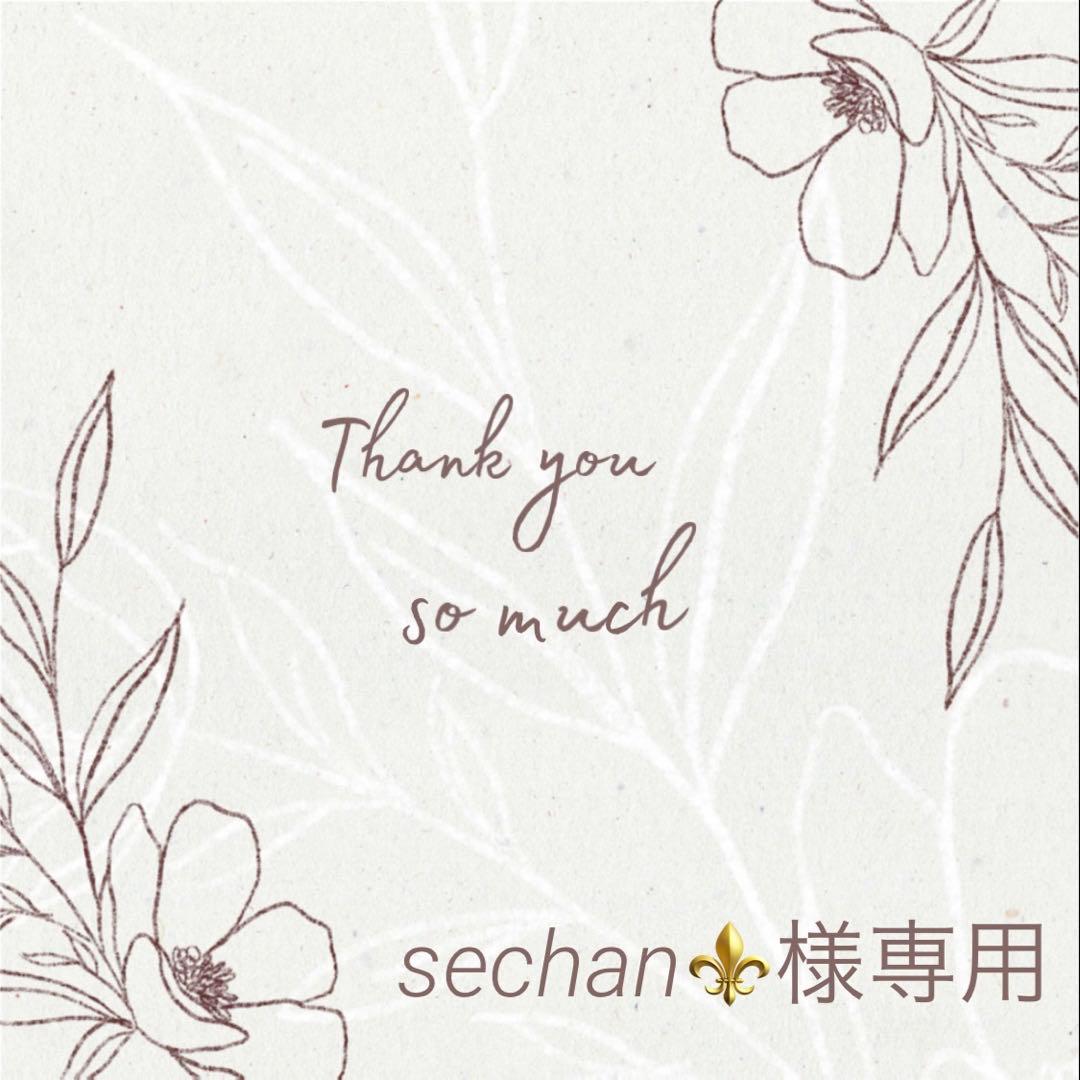 ◆sechan⚜◆