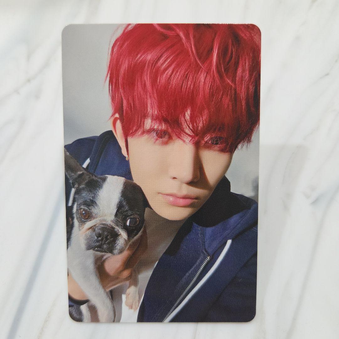 ENHYPEN ヒスン アンケート2025 トレカ